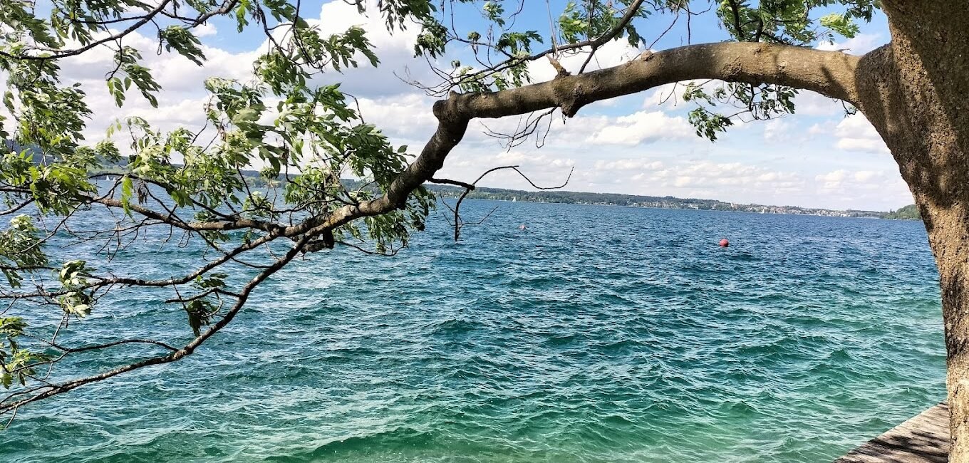 Attersee Camping, Camping Attersee mit Hund, Camping am Attersee, Camping am Attersee, attersee austria camping, Attersee Badeplatz, Badeplatz am Attersee, Öffentliche Badeplätze Attersee, Badeplatz Attersee, Attersee Öffentlicher Badeplatz,Attersee Campingplatz,