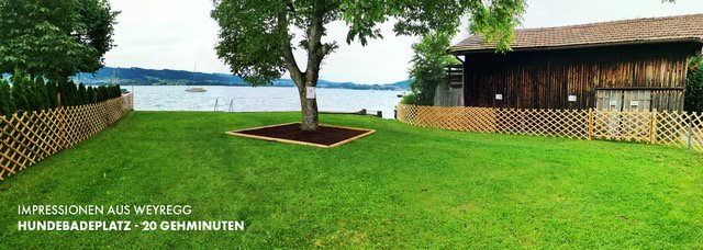 Hundebadeplatz Weyregg, Hundebadeplatz Attersee
